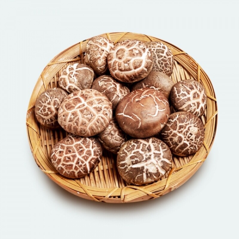 유니버섯스튜디오,유니버섯스튜디오 원목생표고 1kg